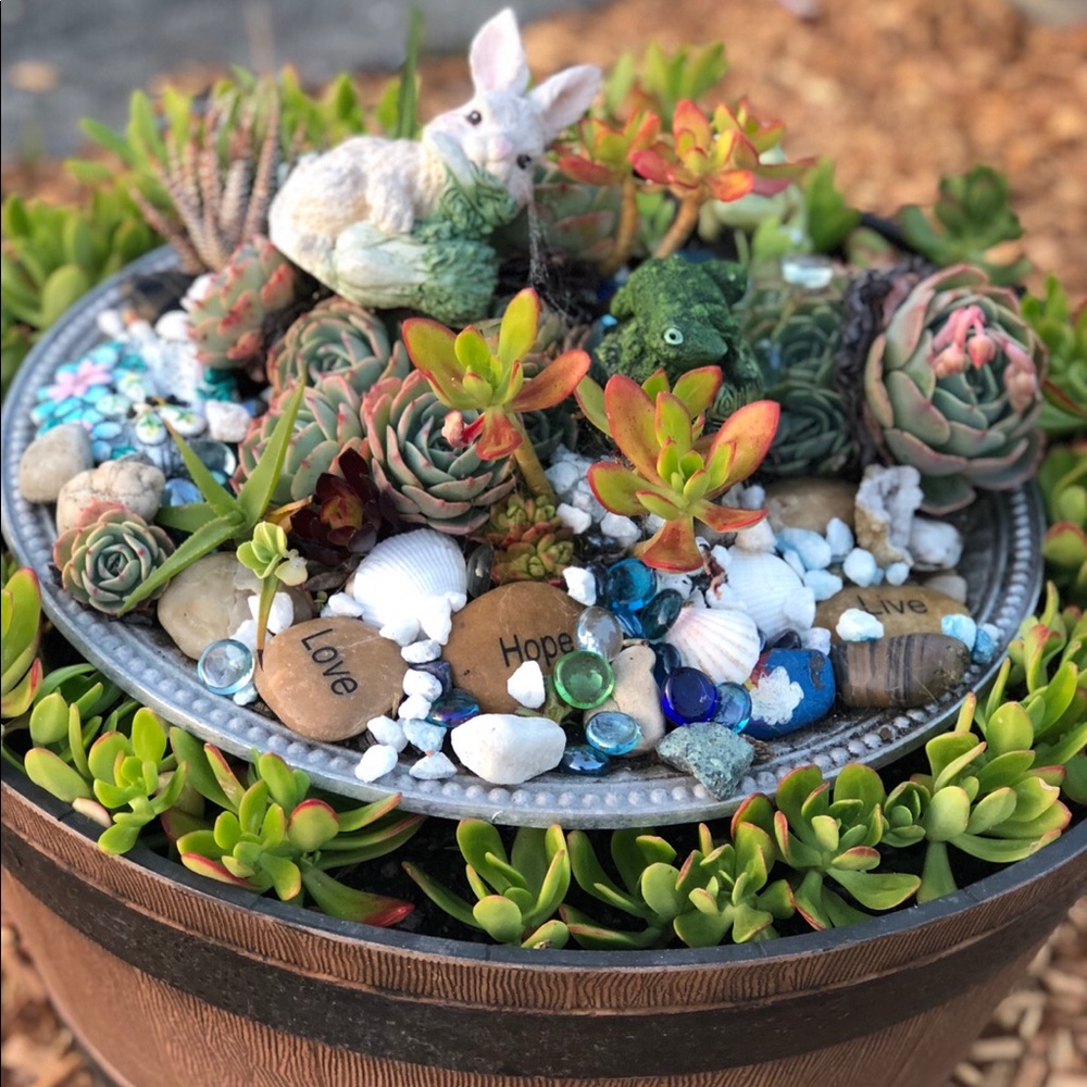 Meet your Posher, Thuy